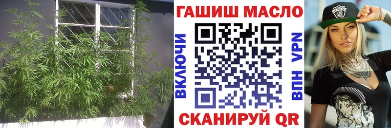 блэк спрут зеркало  Острогожск  ТГК жижа 